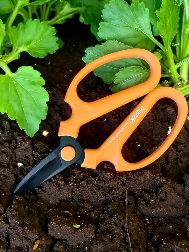 Garden Pruning Shears Set Of 3, Summer Season Meraki Garden Shears