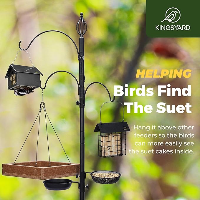 Kingsyard Double Upside Down Suet Feeder with Weatherproof Roof, All Metal Suet Feeders for Outdoors Hanging, Great for Downy Woodpecker Nuthatch Chickadee, Black