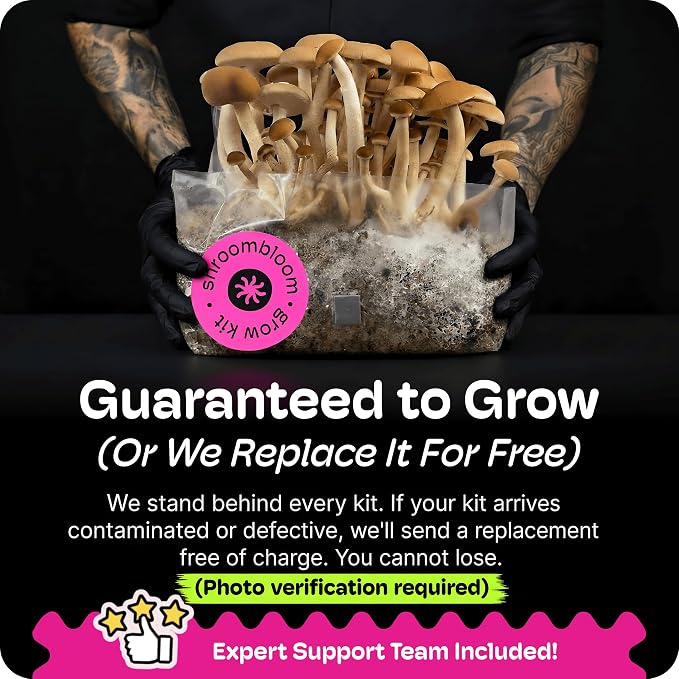 NuBlume Mushroom Grow Kit – All-in-One 2LB (2-Pack) Grow Bag with Self-Healing Port – Fast-Colonizing Universal Substrate for Any Mushroom – Multi-Flush High-Yield – USA Made (Just Add Your Own Culture)
