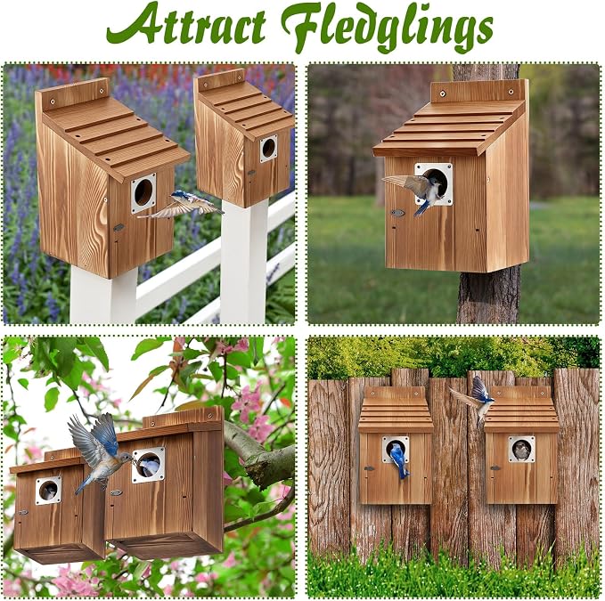 Dreyoo 4 Pack Bluebird Houses for Outside with Metal Predator Guard, 1-1/2" Entrance Hole Wooden Blue Bird Houses for Outdoors, Bluebird Nesting Box(Burnt Wood)