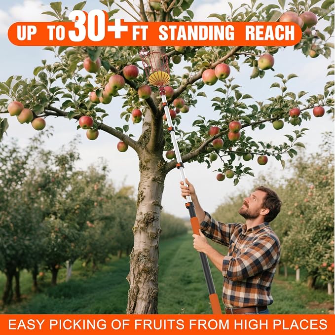 LAANPOLE 36FT Reach Fruit Picker Pole with Basket Telescoping, Apple Picker with 7-30FT Telescoping Pole for Apple Orange Lemon Mango Avocado Guava Fruit Picking