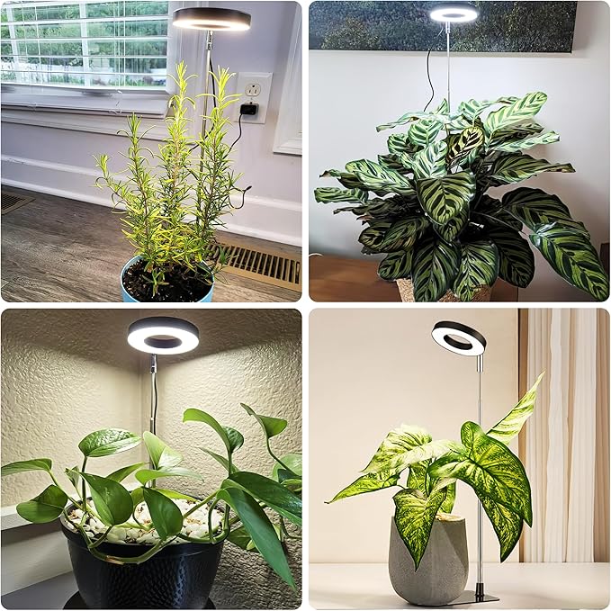 48 LEDs Full Spectrum Grow Lights for Indoor Plants, Height Adjustable, Small Black Halo Plant Light with Base, 3 Light Modes, 10 Brightness, Auto Timer 3/9/12H, 2 Pack