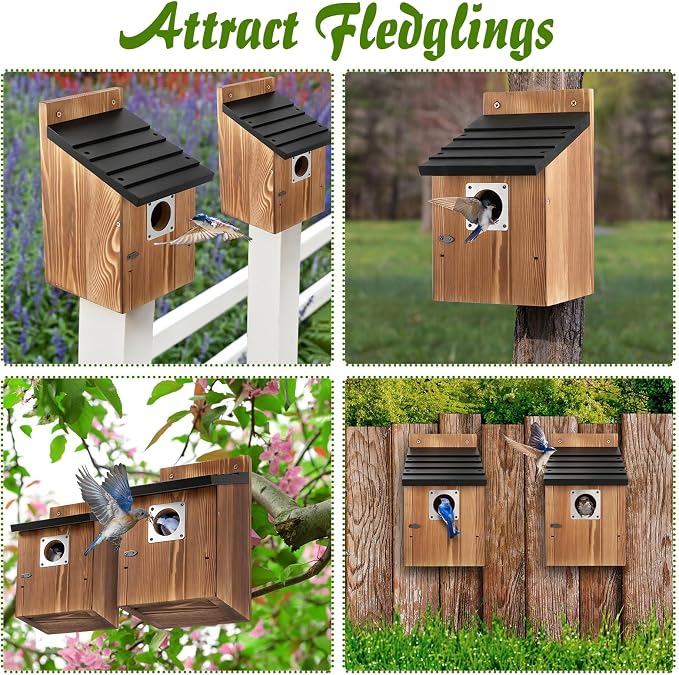 Dreyoo 4 Pack Bluebird Houses for Outside with Metal Predator Guard, 1-1/2" Entrance Hole Wooden Blue Bird Houses for Outdoors, Bluebird Nesting Box(Black Roof, Burnt Wood Body)