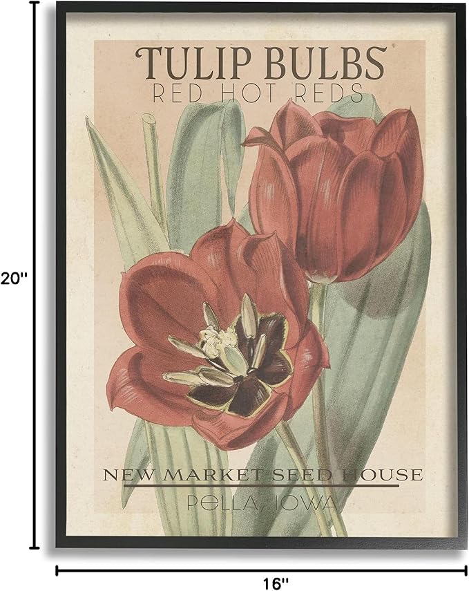Stupell Industries Hot Red Tulip Bulbs Antique Floral Seed Packet