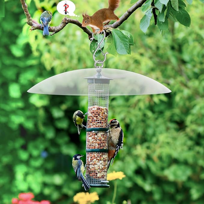 13" Bird Feeder Rain Guard, Hummingbird Feeder Shade Dome Cover, Hanging Baffle for Bird Feeder Pole,Smart Birds Feeder's Umbrella(Translucent), 2 Pack