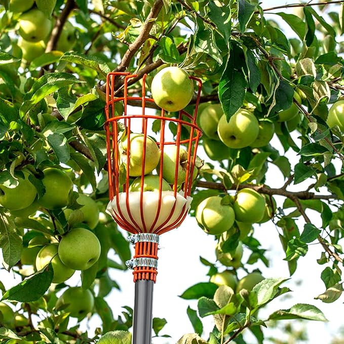 Walensee 13FT Fruit Picker Pole with Basket, 35-158 Inch Adjustable Mango Picker Tool, Stainless Steel Telescoping Cherry Picker for Tree, Apple Pear Lemon Orange Avocado Picking