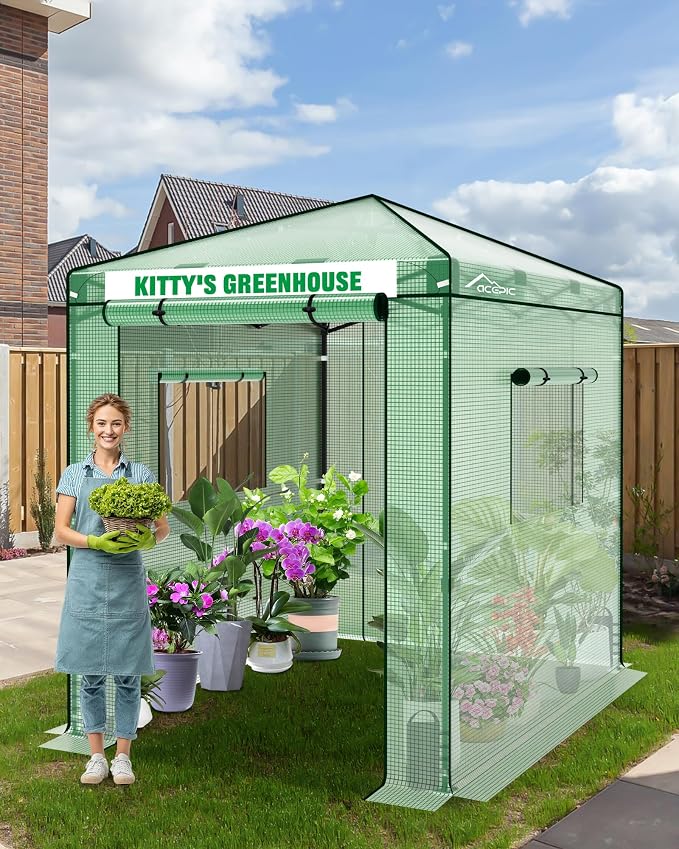 Acepic 8x6 Instant Pop up Greenhouses, Indoor Outdoor Portable Greenhouse Walk-in, Small Green House for All Season with Roll-Up Zipper Doors and Side Windows, 4 Sandbags, Pe Cover, Green/Clear