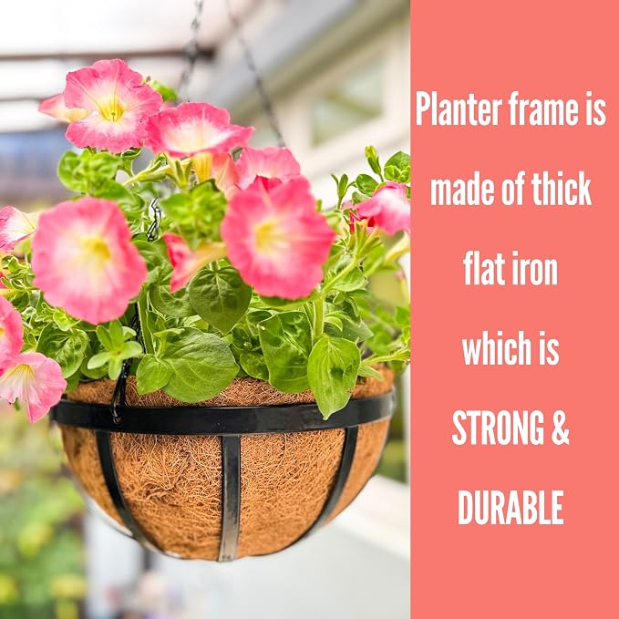 LaLaGreen Outdoor Hanging Baskets for Plants (10 Inch, 6 Pack) Small and Cute Wire Hanging Planters with Coco Liner, Black Metal Flat Iron Flower Pots for Deck Porch Patio Garden Balcony Outside Decor