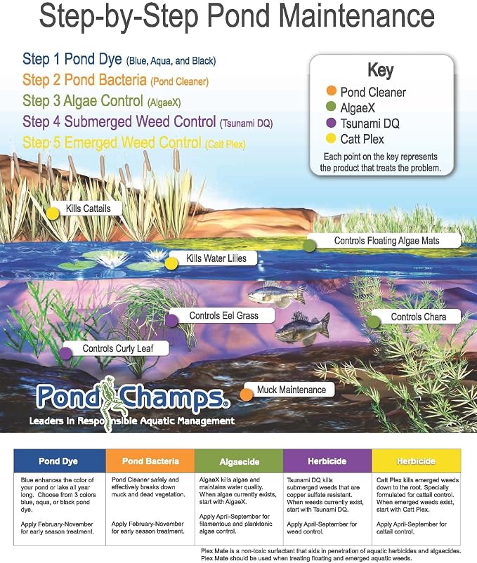 Blue Lake and Pond Dye (4 Gallon Value Pack)