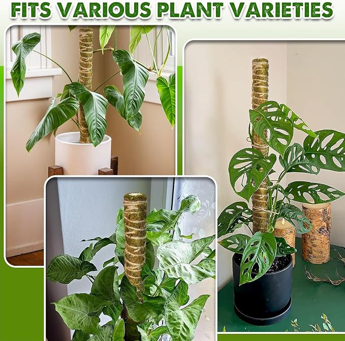 DUSPRO Natural Moss Pole for Plants Monstera, Forest Moss Stick, Monstera Plant Support, Handmade Plant Stake for Indoor Potted Plants to Grow Upward, 1 Pc 22"
