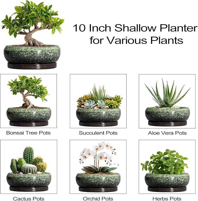 Bonsai Pots 10 Inch - Ceramic Pots for Plants Indoor Outdoor, Succulent Pot with Drainage Hole and Saucer, Large Bonsai Planter, Round Shallow Planter, Office Decor, Gardening Gift, Green