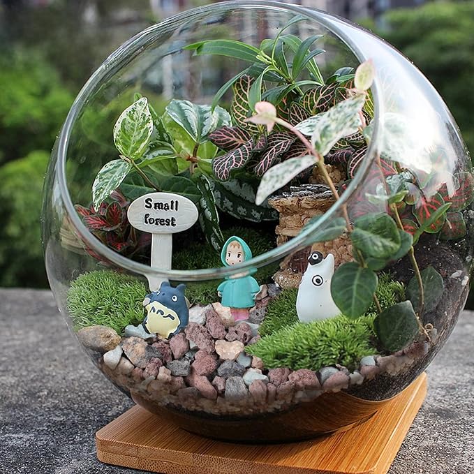 18lbs Mix Horticultural Lava Rocks for Plants, 3/8 Inch Potting Soil Amendment for Succulents, Cacti, Bonsai, Decorative Gravel Plant Drainage Volcanic for Terrarium, Top Dressing