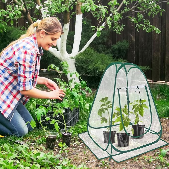Suzile 4 Pcs Pop up Small Greenhouse for Winter Mini Greenhouse PVC Clear Easy to Install Portable Flowerpot Cover Plant Grow Tent with Nails for Indoor Outdoor Gardening, 25.2 x 25.2 x 25.6 Inches