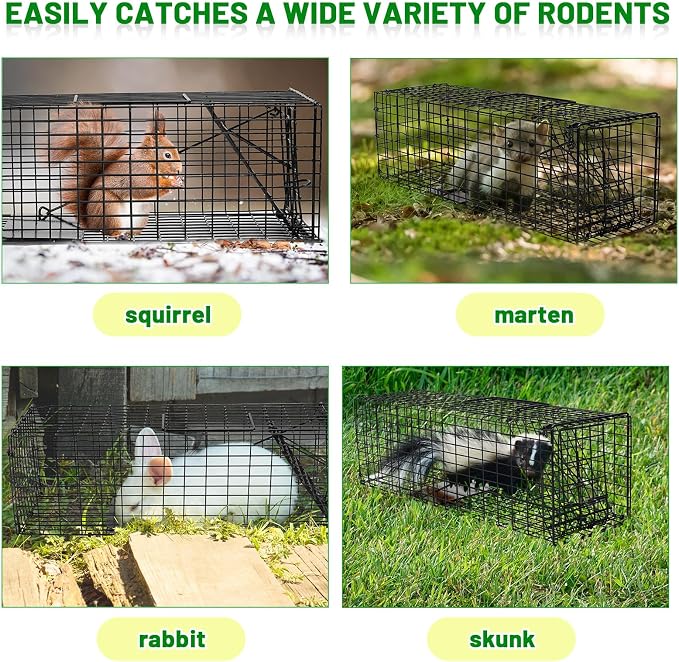 Qualirey 2 Pcs Humane Squirrel Trap Heavy Duty Live Animal Chipmunk Catch and Release Rat Trap for Outdoor Small Animals Mouse Raccoon Stray Cat Rodent Weasels(Black)