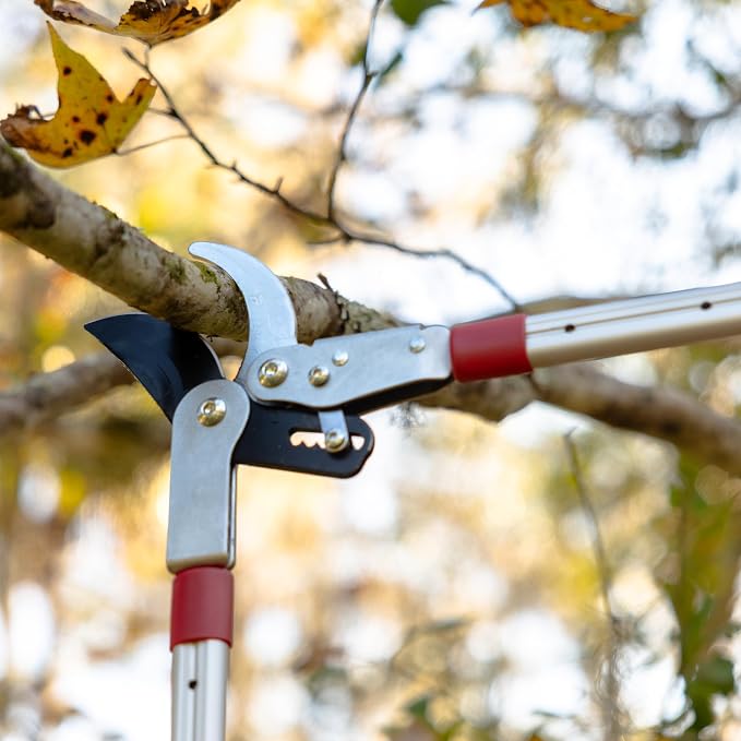 Radius Garden 37'' Ratcheting Bypass Lopper with Telescoping Handles – Powerful Cutting for Tough Branches