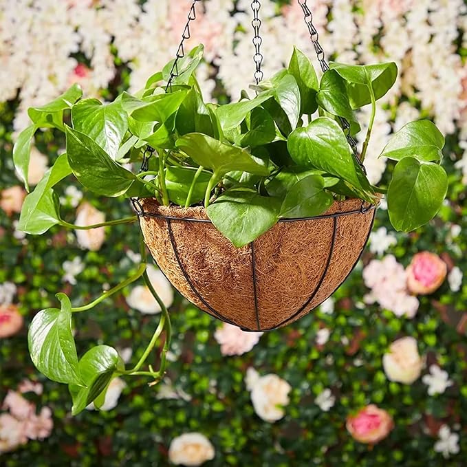 LCHUANG Hanging Baskets Planter for Plants - 4 Pack 10 Inch Metal Baskets with Coco Coir Liner, Hanging Flower Pots for Outside with Chain, Indoor Outdoor Garden Porch Decoration (10'' Pack of 4)