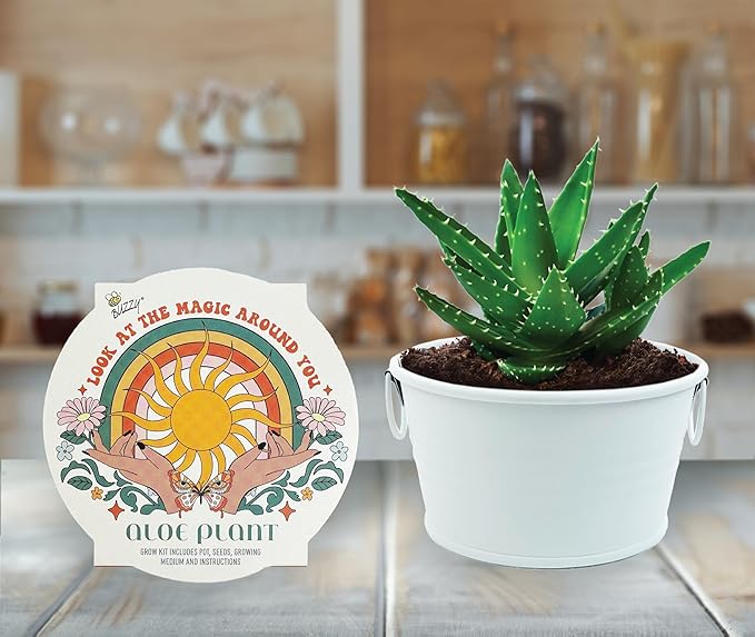 Buzzy Seeds Cactus, Moss Rose, Aloe Mini Basin Grow Kit Trio, 3pk, Indoor Gardening Starter Pots