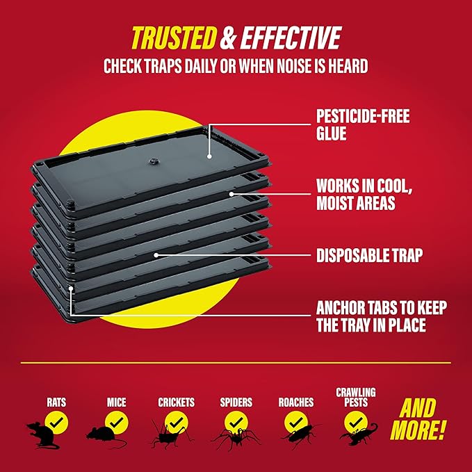 Catchmaster Rat & Mouse Glue Traps with Sticky Putty 6Pk, Large Bulk Glue Board, Rat & Mouse Traps Indoor for Home, Adhesive Plastic Tray for Snakes, Mice & Spiders, Pest Control for House & Garage