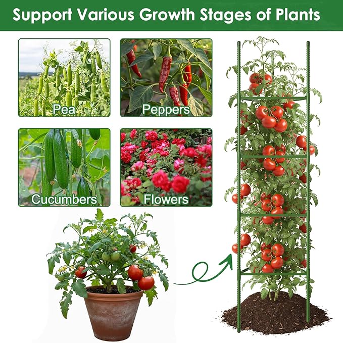 CEWOR Tomato Cage - 3 Pack Tomato Trellis, 63 Inch Tomato Cages for Garden, Extra Tall Plant Support Triangle Structures Garden Stakes for Climbing Plants Outdoor, Pots, Raised Garden Bed, Vegetables