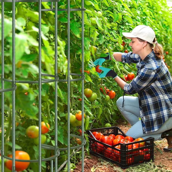 Hahood 6 Pack Tomato Cages for Garden Plant Support 64 Inches Tall Garden Trellis Plant Stakes for Indoor Outdoor Plants Climbing Plants Vegetable Fruit Crop Flower Vine, Green