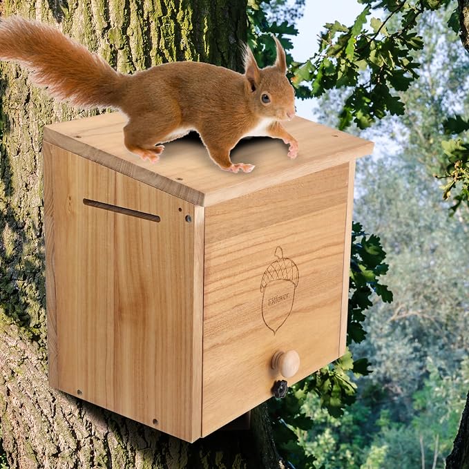 Squirrel Family House Pine Nesting Wooden Box for Shelter Breeding Living Residence with Vanish Finished (Medium)