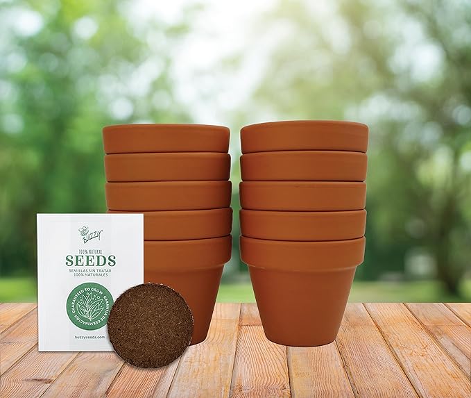 BUZZY Seeds Sunflower Starter Kit Bulk 10 Pack – 3inch Terracotta Pots, Soil Pellets, Flower Seeds for DIY Craft Projects, Favors, and Seed Starting