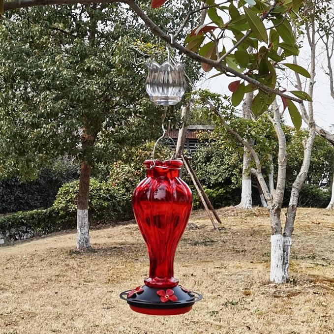 Glass Ant Moat for Hummingbird Feeder - 3 OZ Tulip Insect Guard with Large Capacity (Black)