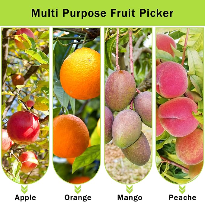 UQM 12.8FT Fruit Picker Pole with Basket Harvest Bag, 40-154 Inch Adjustable Length Apple Picker Pole with Basket, Portable Fruit Picker Basket for Apples Oranges Figs Mangoes Pears