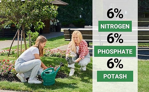 Gardenwise 6-6-6 All-Purpose Professional Plant Food Fertilizer; Ideal for Winter Care & Spring Feeding, Perfect Balanced NPK for Indoor and Outdoor Plants (3 QUARTS)