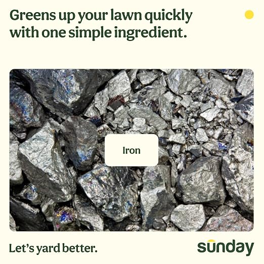 Sunday Weed & Green - Weed & Green for Lawns - Pre-Emergent & Post-Emergent Weed Killer Spray - Includes Hose-End Sprayer - for Crabgrass, Broadleaf Weeds & Lawn Diseases - Covers 1,250 sq ft - 32 oz