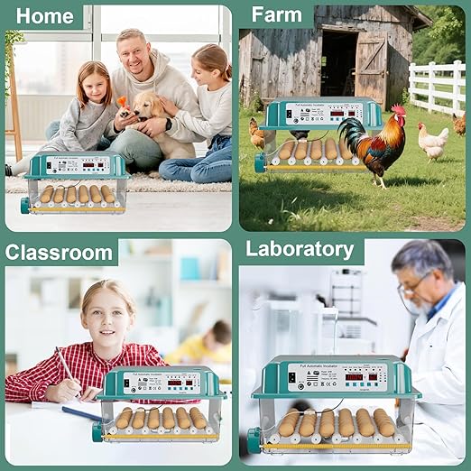 CoInceptus 36 Eggs Incubators for Hatching Eggs,Egg Incubator with 4 Automatic Incubate Mode,Chicken Incubator with Automatic Egg Turning Humidity Monitoring,Poultry Egg Incubator with Egg Candle