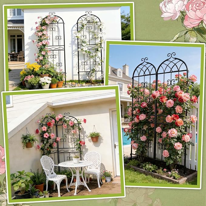 HIHADUUM 2 Pack 70.8" H x 19.7" W Arched Metal Garden Trellis for Climbing Plants Outdoor - Tall Rust-Resistant Decorative Climbing Rose Trellis Perfect for Roses, Vines, Vegetables, Flowers, Black