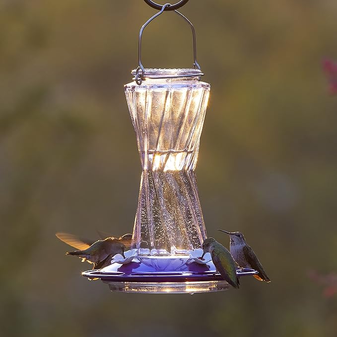 More Birds Bohemian Hummingbird Feeder, Glass Hummingbird Feeders for Outdoors, 4 Feeding Stations, 20 Ounces, Purple