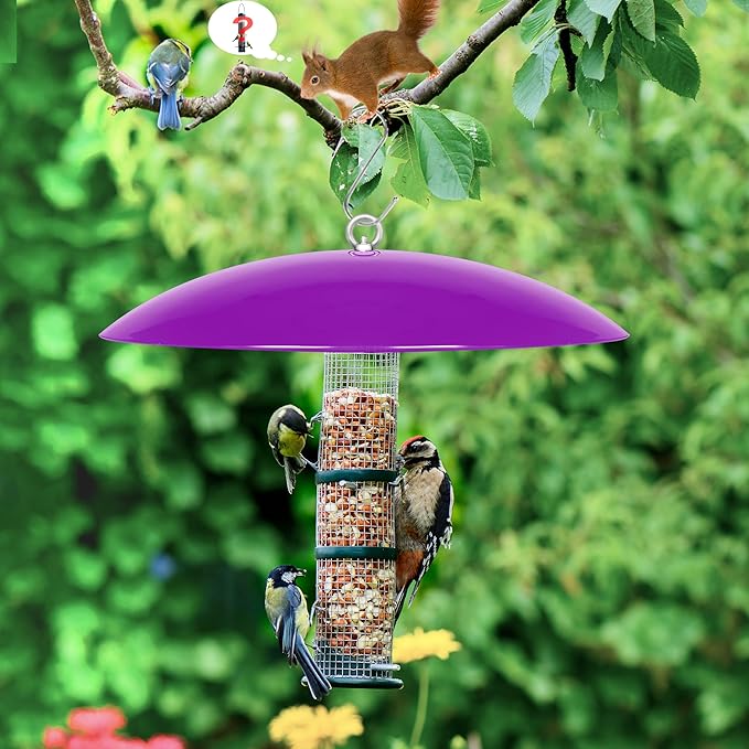 13" Bird Feeder Rain Cover,Bird Feeder Dome,Hummingbird Feeder Guard, Proof Bird Feeders Baffle,Smart Birds Feeder's Umbrella (Purple),2Pack