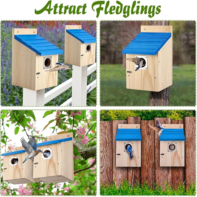 Dreyoo 4 Pack Bluebird Houses for Outside with Metal Predator Guard, 1-1/2" Entrance Hole Wooden Blue Bird Houses for Outdoors, Bluebird Nesting Box(Blue Roof, Wood Body)