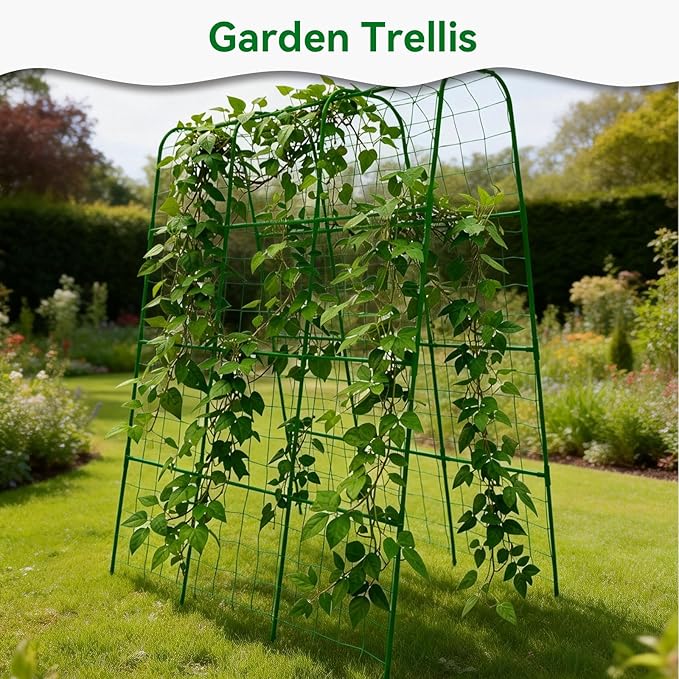 Cucumber Trellis - 62.4"*50" Cucumber Trellis for Raised Bed with Plastic-Coated Steel Pipe, U-Shape Garden Trellis for Climbing Plants, Garden Trellis for Cucumbers, Beans(Green)