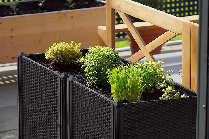 D'vine Dev Raised Patio Planter Box - Elevated Planter with Drainage Plug Raised Garden Beds for Growing Flowers, Herbs, Vegetables - Outdoor Standing Gardening Kit, Set of 4, RGB-D-4N