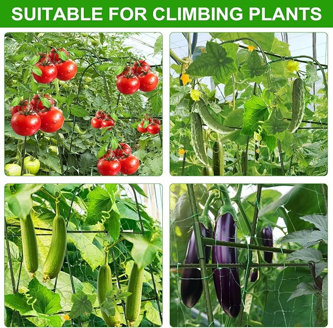 Cucumber Trellis for Raised Beds & Gardens - Sturdy Arch Trellis for Climbing Plants, Tomatoes, Peas & & Beans | Outdoor Vegetable Support for Vines (63" Lx30 W x47.2 H)