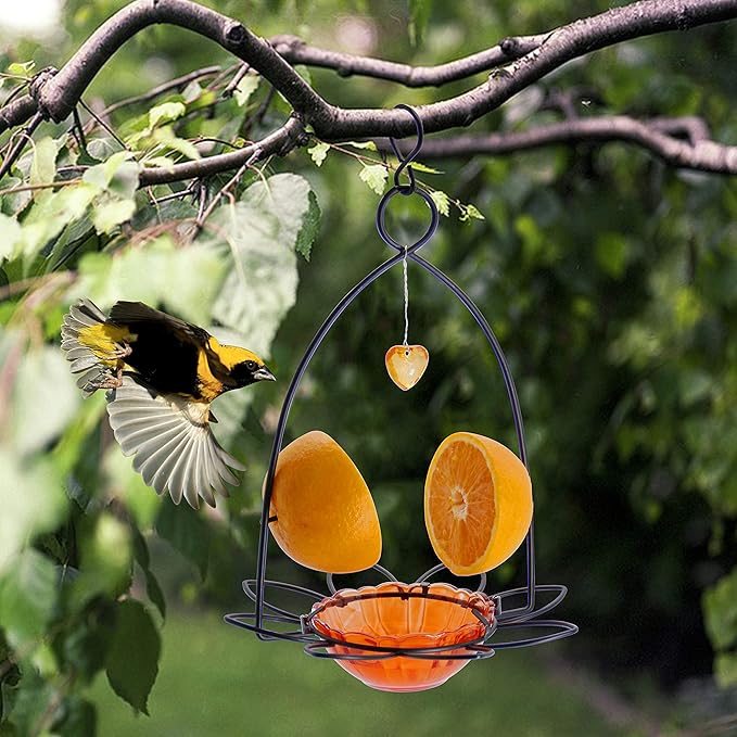 FORUP Oriole Bird Feeder, Orange Fruit Oriole Feeder