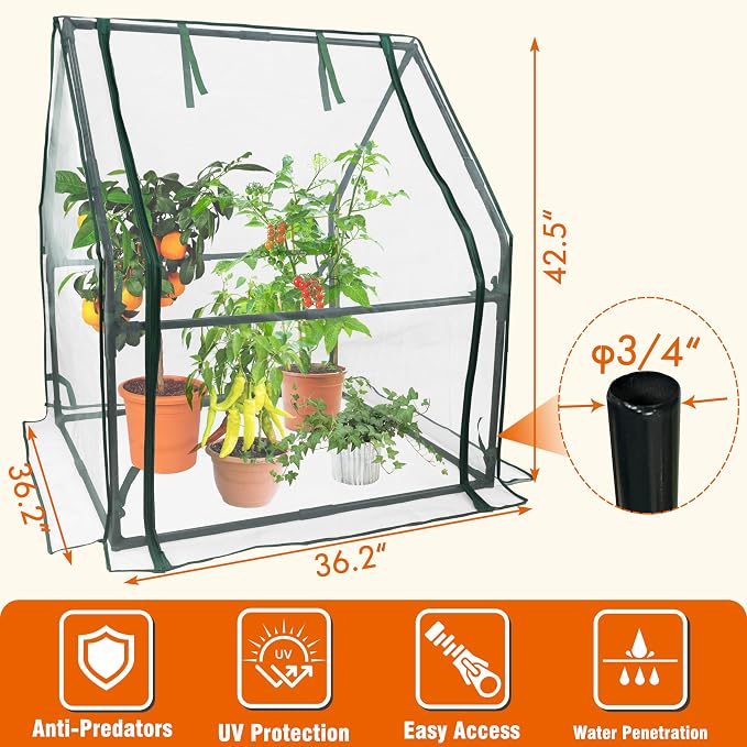 Gardzen Mini Greenhouse with Zipper Mesh Cover, Steel Frame Portable Outdoor Greenhouse, Enhanced Ventilation, Ideal for Spring, Summer & Fall 36.2"(L) x36.2(W) x42.5(H)