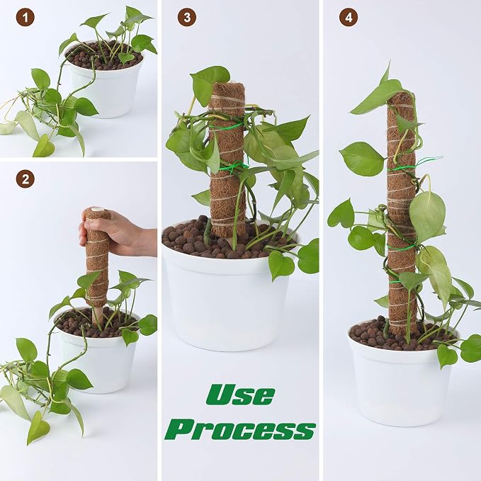 Augshy Moss Pole - 20 Inch Coir Totem for Monstera Climbing Indoor Creepers Plant Support Extension (2 Pieces, 12 Inch Each)