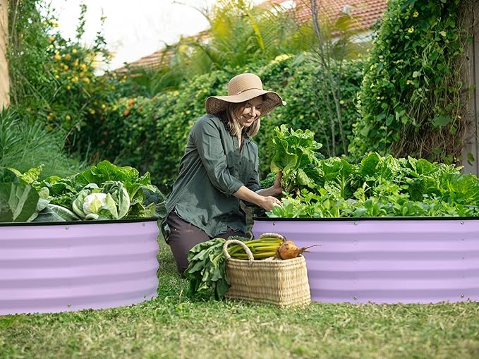 Round Galvanized Raised Garden Bed // 4×4×1 ft (2-Pack) Galvanized Raised Garden Beds Outdoor for Gardening, Vegetables, Flowers (Lavender) // Patented Tool-Free Design Round Planter