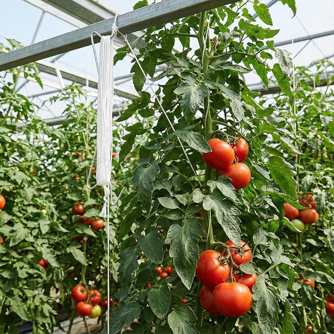 260 PCS Tomato Hooks with String, Tomato Support Hook & Plant Support Clips and 32.8 Ft Twine, Climbing Plants Hooks for Vegetable Plant Fruit Flower, White