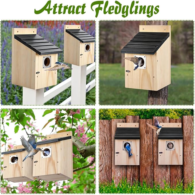 Dreyoo 8 Pack Bluebird Houses for Outside with Metal Predator Guard, 1-1/2" Entrance Hole Wooden Blue Bird Houses for Outdoors, Bluebird Nesting Box with Screwdriver(Black Roof, Wood Body)