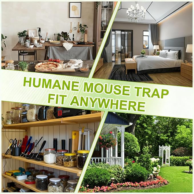Product Image 2 Pack Humane Mouse Traps, Reusable Mice Trap, Live Rat Cage Chipmunk Trap Indoor Outdoor for Home(Green)