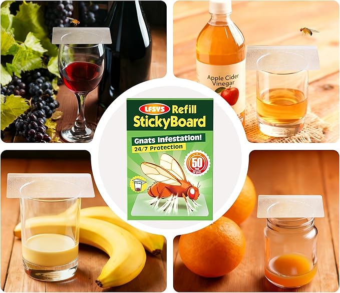 LFSYS Fruit Fly Sticky Trap - 50 Pack, Mess-Free Clear Adhesive Refills for Indoor Kitchen Use