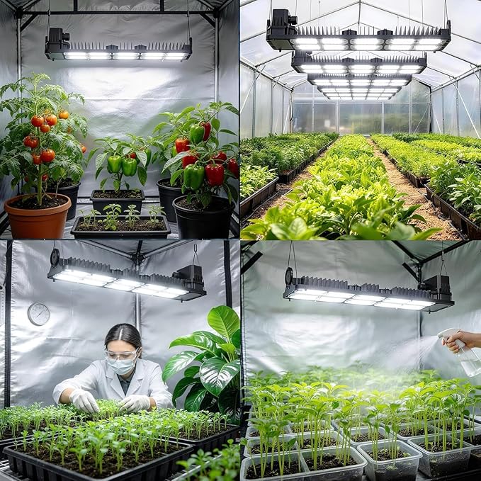 SANSI Grow Lights for Indoor Plants, 200W Plant Lights for Indoor Growing Full Spectrum High PPFD IP65 Dimmable, Auto On Off Growing Lamp for 2x4/3x3ft Grow Tent Seed Starting Vegetables Bloom