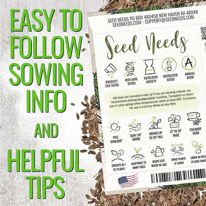 Seed Needs Cilantro & Dill Seeds for Planting Fresh Kitchen Herbs - Non-GMO Heirloom & Untreated Perennial Herb Seed to Plant a Culinary Garden Indoors or Outdoors (2 Pack Duo)