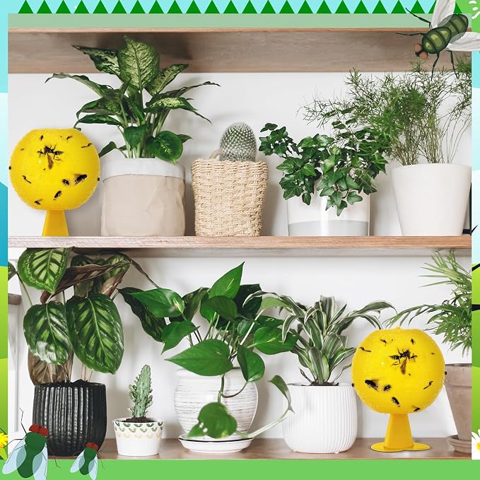 Qualirey 10 Set Fruit Fly Sticky Trap Balls Fungus Gnat Killer Bug Catcher Gnat Trap Insect Traps Indoor Outdoor Plant Fly Sticky Traps Ball for Fungus Plants(Yellow)