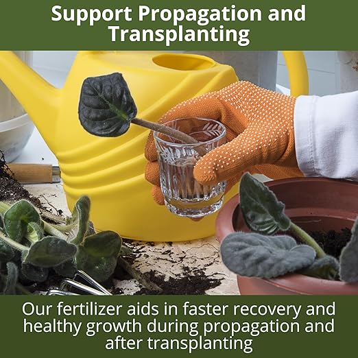 GARDENWISE 3-1-2 African Violet Fertilizer for Indoor Plants: Liquid Fertilizer with Essential Micronutrients Drops - Plant Food for African Violets (8 oz)